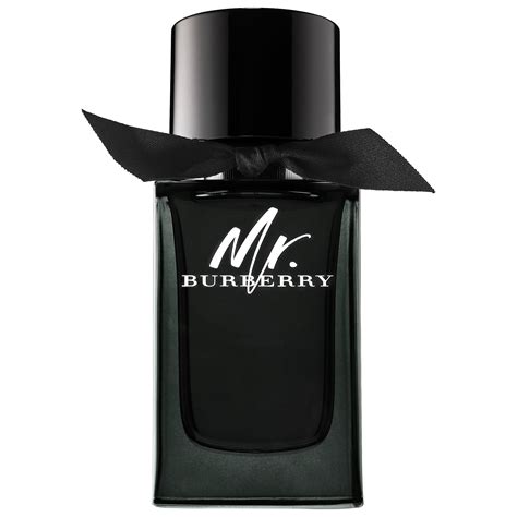 burberry mr burberry 50ml edp spray|burberry cologne for men.